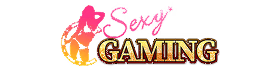 Game provider